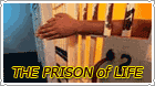 The Prison of Life